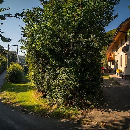 Penzion Krizky Malá Skála Esterno foto